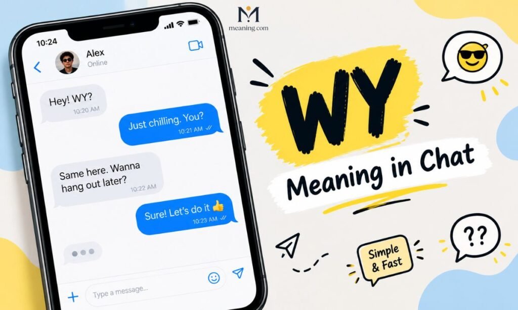 WY Meaning in Chat Conversation Examples and Usage