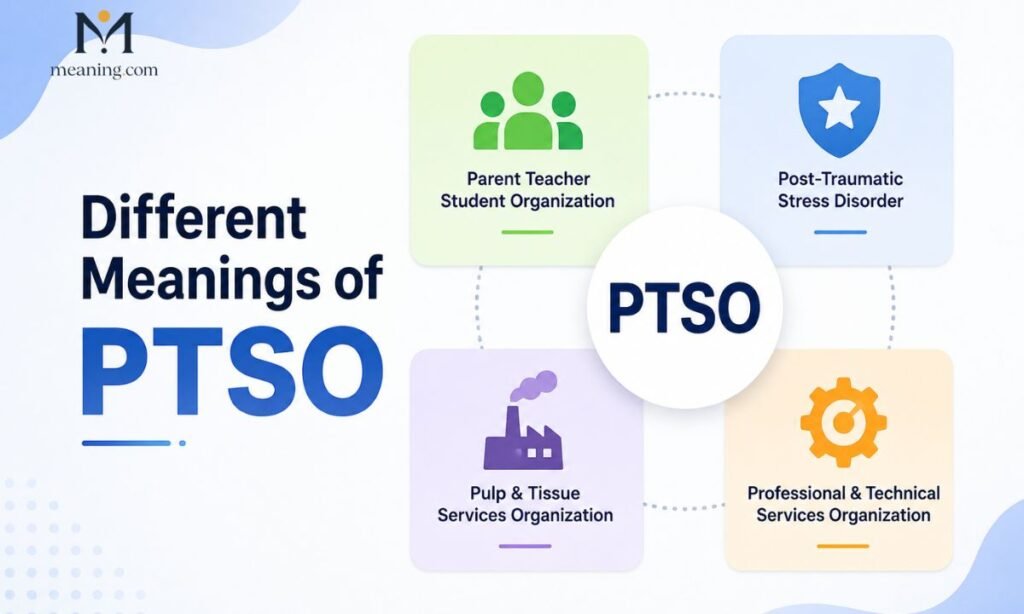 Different Meanings of PTSO in Other Contexts