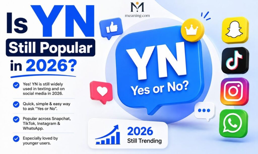 Is YN Still Popular in 2026?