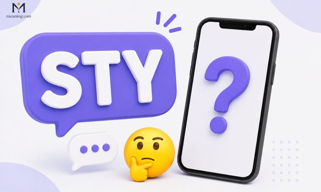 🧠 What Does STY Mean in Text