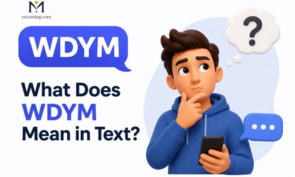 🧠 What Does WDYM Mean in Text